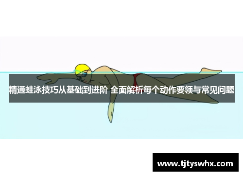 精通蛙泳技巧从基础到进阶 全面解析每个动作要领与常见问题