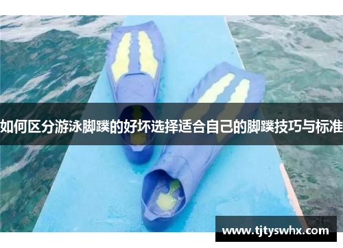 如何区分游泳脚蹼的好坏选择适合自己的脚蹼技巧与标准